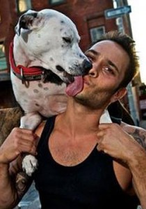 狗在都市 第一季