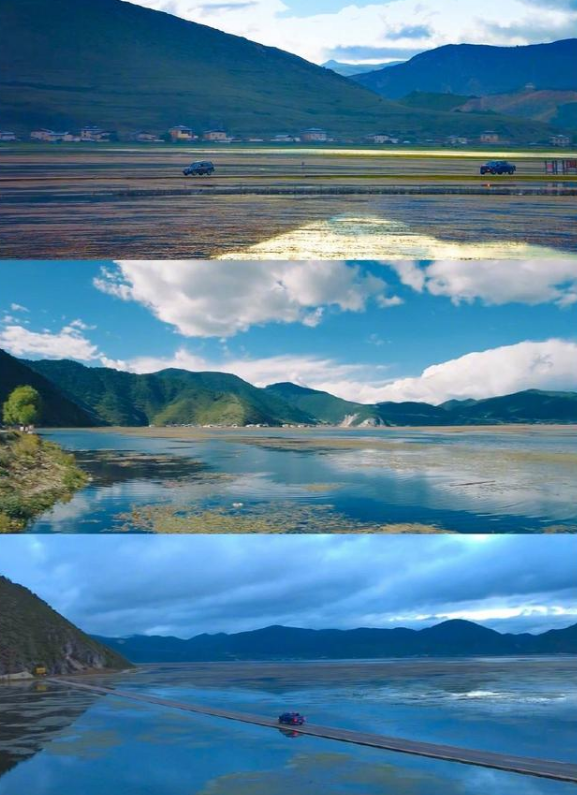 电视剧《司藤》：傲娇高冷女王VS倒霉忠实男仆