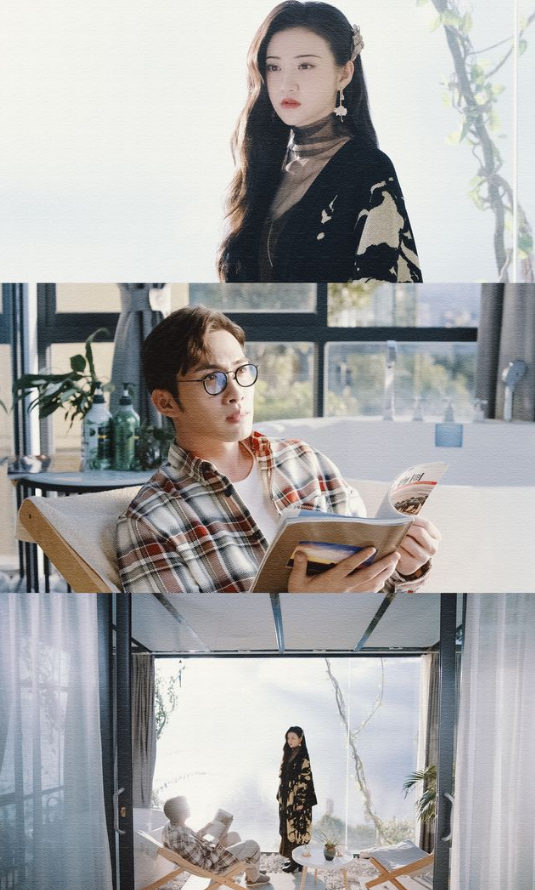 《司藤》结局疑反转！秦放其实是棵树？