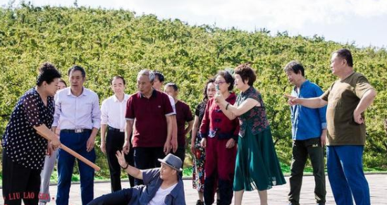 那些隐藏在《刘老根4》里面的女神