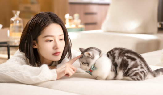 李沁新剧《爱上特种兵》今晚开播，沉浸式演绎热血军医