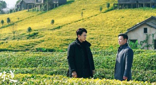 靳东在新剧《温暖的味道》变“红娘”，一罐陈茶牵线二叔与梅姨