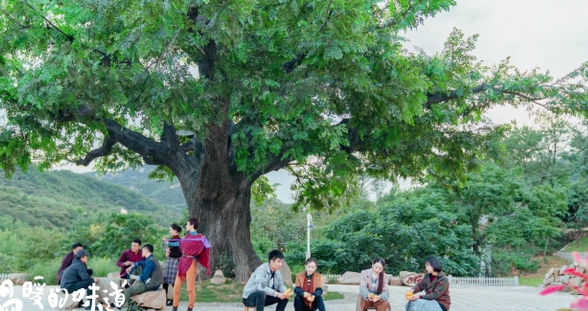 跟《温暖的味道》一起来看看未来的农村是什么样子的