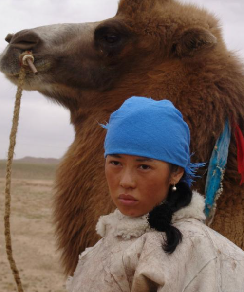 《谎言真探》首播获好评，余男邢家栋表现很出色