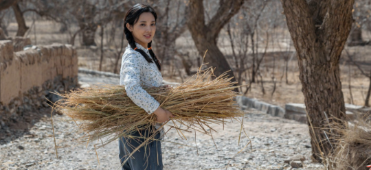 彭小苒《百炼成钢》之《年轻的朋友来相会》，重视角色，肯为角色付出