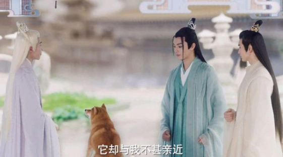 《千古玦尘》热播：月弥能够转世成为白烁，为何玄一不能复活