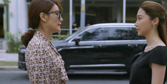 电视剧《北辙南辕》魏岚陷害杜世均，结局很惨