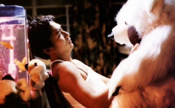 《重庆森林》讲述的是三段关于失恋的故事