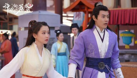 《许纯纯的茶花运》是一部古装爱情剧