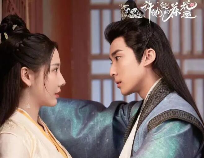 古装爱情剧《许纯纯的茶花运》于爱奇艺首播