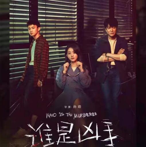 《谁是凶手》由孙皓导演执导，赵丽颖、肖央、董子健等主演的网剧