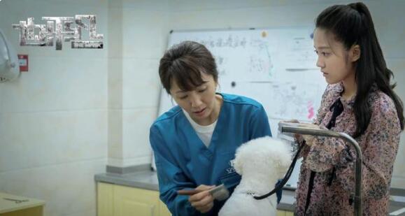 《也平凡》动作犯罪悬疑的标签吸引了众多观众的注目