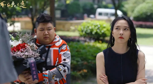 《不死鸟之恋》两对欢喜冤家的爱情故事