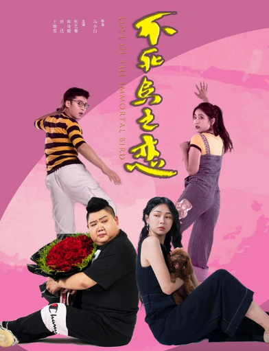 电影《不死鸟之恋》前任爆笑追爱，花式求复合 