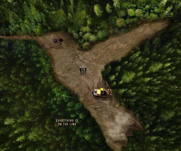 《蜂鸟计划》今日上映,故事的背景，不做买卖的人一般领会不到。