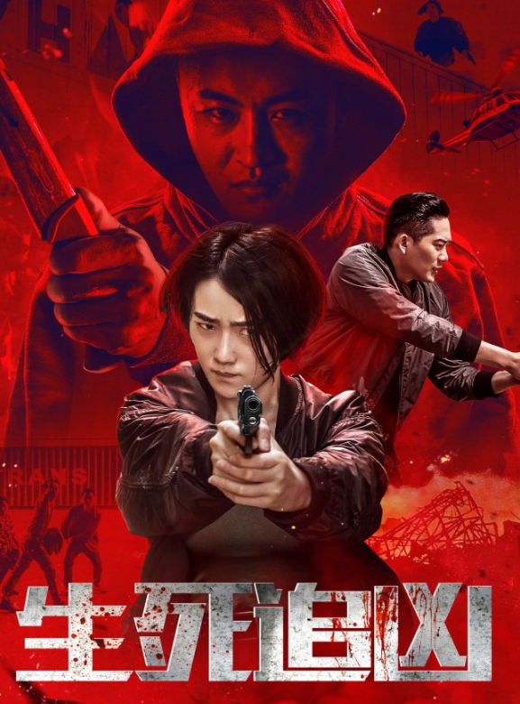 《生死追凶》这部影片虽然内容不多,推理也不够精彩