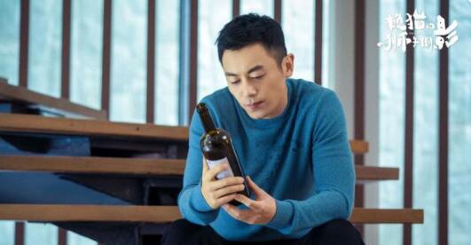 终于等来《赖猫的狮子倒影》开播啦