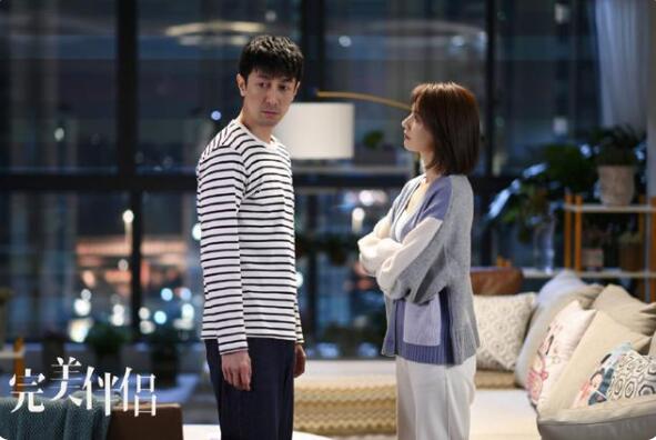 《完美伴侣》讲述两对夫妻在人到中年后对婚姻的困惑和思考