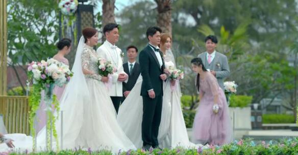 电视剧《家族荣耀》开播后真是赚足了网友们的眼球