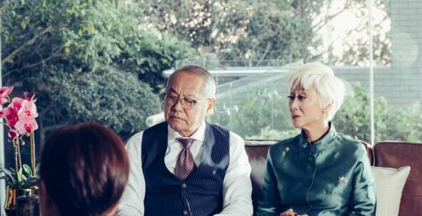 港剧《家族荣耀》剧情狗血，姐妹扯头花，兄弟争夺家产