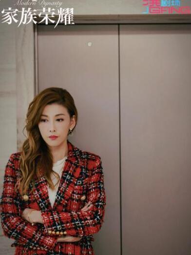 《家族荣耀》无疑是近几年来最精彩的港剧之一。