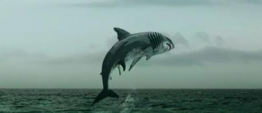 《鲨口逃生》“大嫂”徐冬冬主演的小成本恐怖片