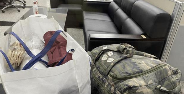 《春光灿烂猪八戒》知名导演钮承泽入狱了