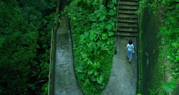 《第一炉香》马思纯饰演葛薇龙，离家背景到香港寻求姑妈帮助。