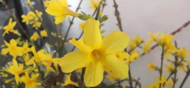 看《特战行动》我真正懂得了团队合作的重要性