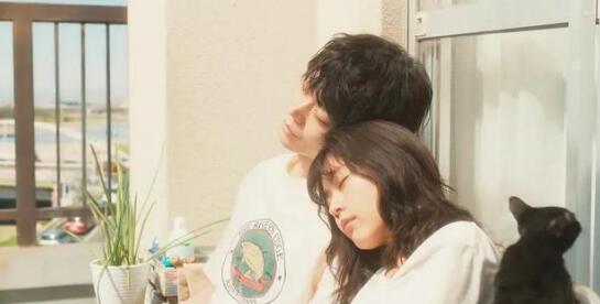 《花束般的恋爱》为爱情放弃梦想，选择向生活蹉跎真的错了吗？