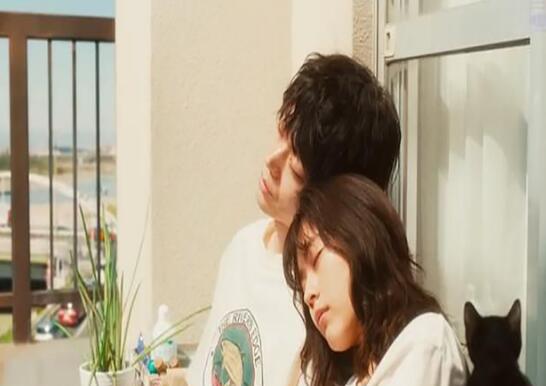 《花束般的恋爱》在各个年龄段的情侣中都已经成为一个必备的话题