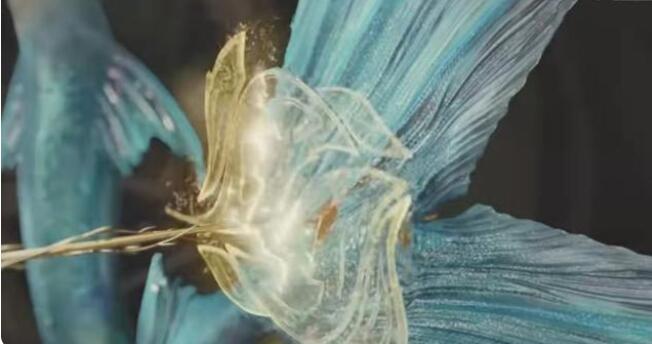 《与君初相识》“父亲说，喜欢的人，要先拥抱再亲吻”。