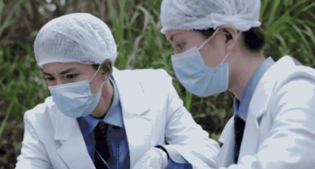 《法医秦明之读心者》，代孕谋杀，嫉妒是世界上最可怕的谋杀。