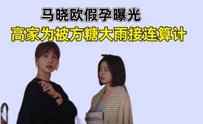 《妻子的选择》马晓欧假孕曝光，方糖大雨算计高家为