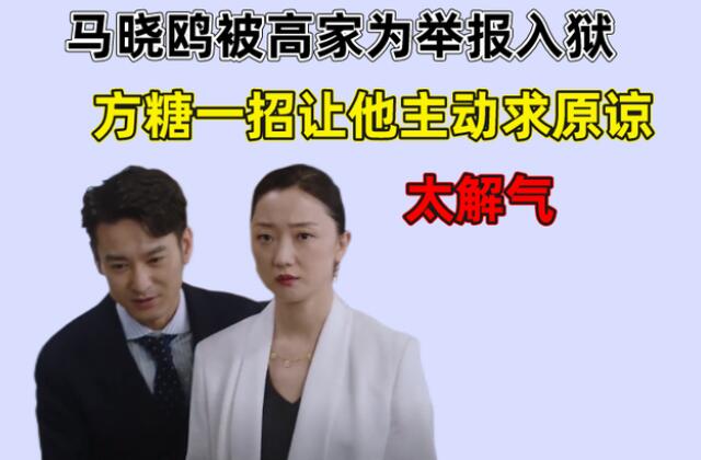 《妻子的选择》高家为因马晓鸥举报入狱，她只用一招让其主动求原谅