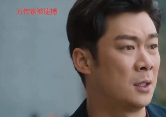 《幸福到万家》：保健品经理卷款跑路，万传家被逮捕