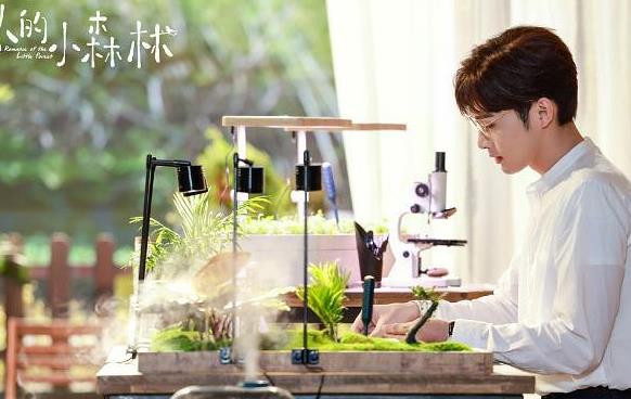 《两个人的小森林》庄羽反套路虞美人，美人惶恐