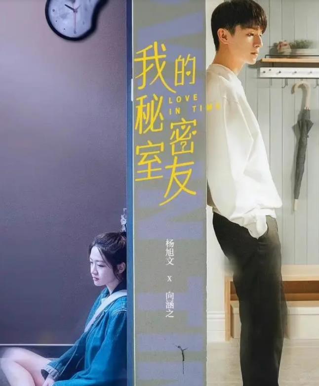 《我的秘密室友》国产剧中两极分化最严重的类型是什么？