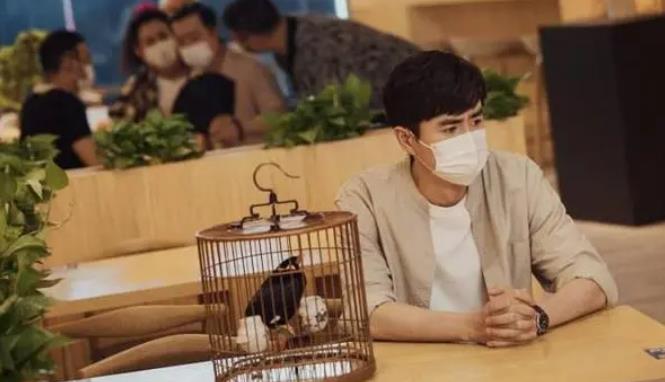 《我们这十年》十年为引，群像以歌