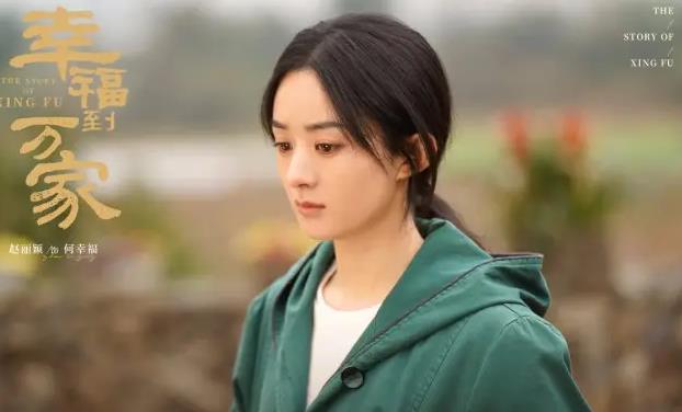 《幸福到万家》是一部农村题材剧