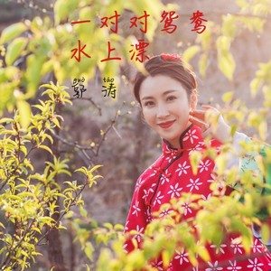 《一对对鸳鸯水上漂》与《下一站天后》歌曲对比，高音更悦耳