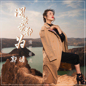 《泪蛋蛋都为情哥哥流》与《怎么唱情歌》歌曲对比，更深刻感人