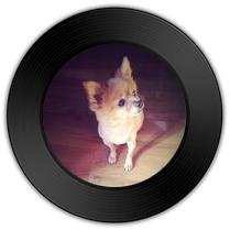 《嗜好》与《半句再见》哪首唱功更娓娓动听