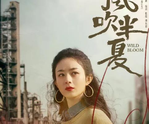 《风吹半夏》火力全开，全网热度登顶