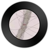 《窄街》与《未完结篇》哪首更体现人世百态