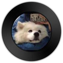 《我好像在哪见过你》与《再见》哪首绵言细语