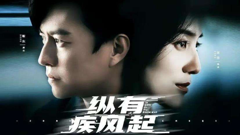 《纵有疾风起》带悬疑情节相爱相杀东山再起的故事