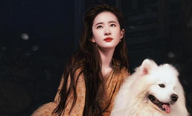 《去有风的地方》再次感受了一把时代的春风