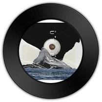 《何地有方》与《告诉我》哪首天籁之音