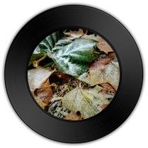 《可是世界这么美》与《断续》哪首编曲好听